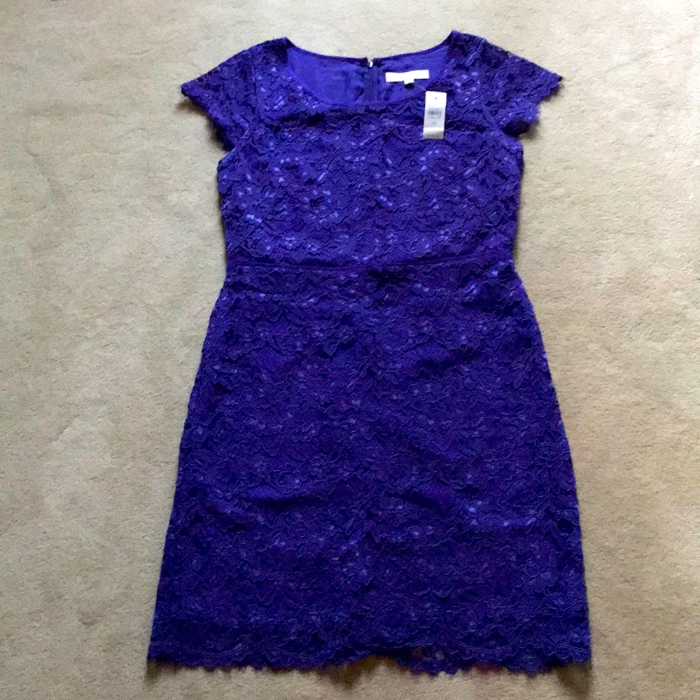 Loft lace dress